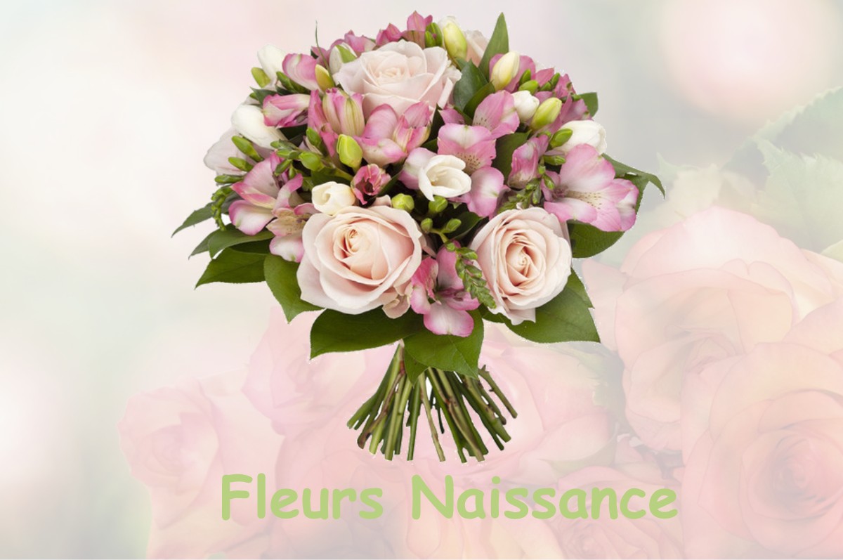 fleurs naissance SAINT-GERMAIN-DE-FRESNEY